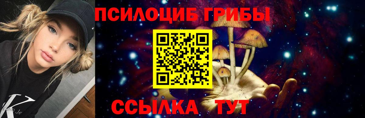 Галлюциногенные грибы GOLDEN TEACHER  Галлюциногенные грибы Magic Shrooms  купить  сайты  Сунжа  Вход с VPN 